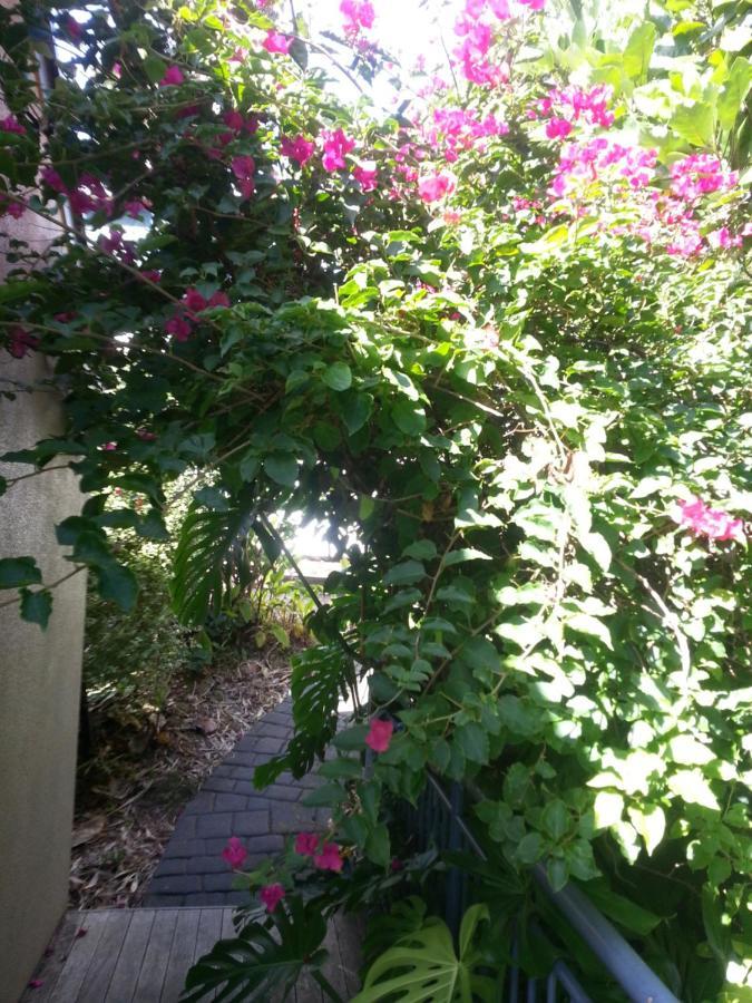 Supacute Character Cottage, Wifi, Sky Tv, Spa Bath, Spa Bath, Dble Kayak And Possibly A Car! Palm Beach Bagian luar foto